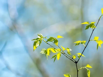 深度研报|英国租金涨幅超越房价:透视英国楼市的“收益率重估”时代