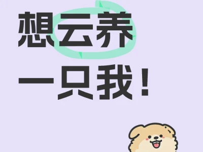 网瘾少女处大象