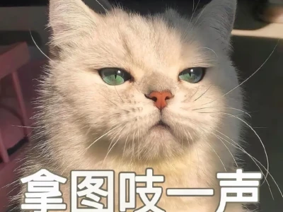 甜美氛围感头像分享🌸