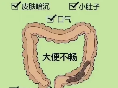 从养生角度解密王楚然旗袍下的黄金腰臀比!