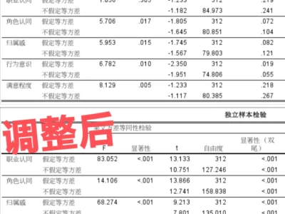 SPSS数据调整