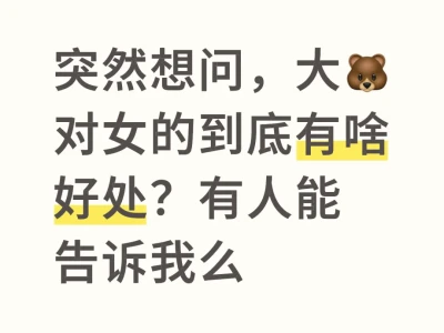 大🐻的好处在哪里