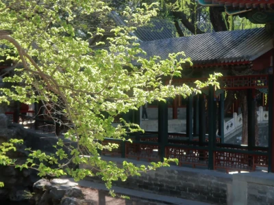 ⛩️