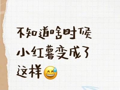 包容性极强的小红书😅
