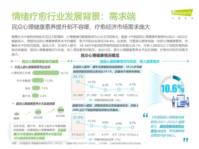2025中国情绪疗愈行业报告