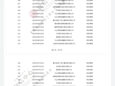 个人征信报告
