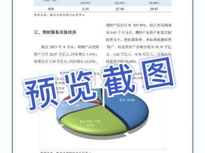 56页报告|2025中国银行业理财市场半年报告