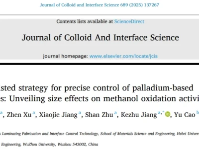 【组内研报】Journal of Colloid and Interface Science|气压辅助精准调控钯基纳米颗粒尺寸,揭示甲醇氧化活性尺寸效应