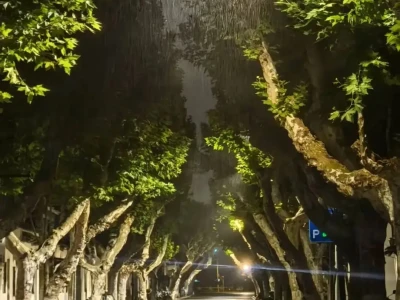 学习研报日常   浅谈化工(四)