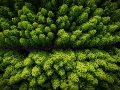 从高盛研报看中国经济:分化加剧的背后,释放了什么信号?