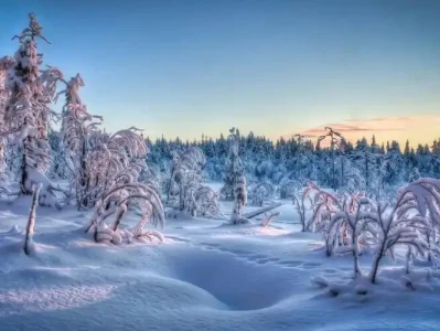 摩根大通研报:汽车行业今年将遭遇历史性寒冬