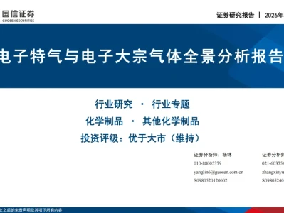 『研报』电子特气与电子大宗气体全景分析报告