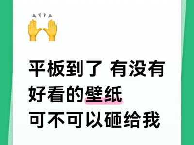 可不可以砸给我iPad壁纸