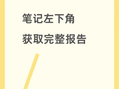 2025年中国跨境电商SaaS市场行业报告