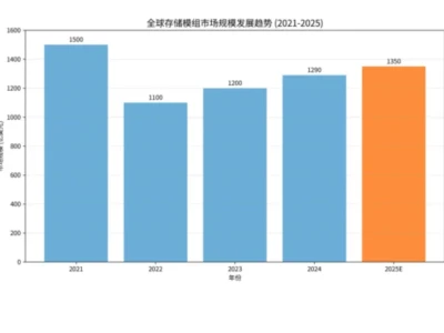 全球存储模组市场规模及趋势（2021~2025）
