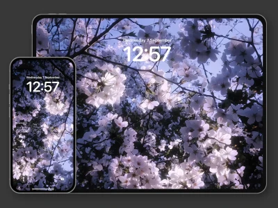 樱下绮梦花瓣丨G17丨氛围感高级壁纸