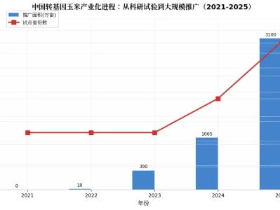 中国转基因玉米产业研报:技术推广、制度适配与粮食安全的三角博弈