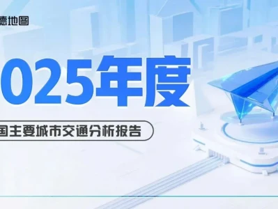 【研报-5204】2025年中国主要城市交通分析报告