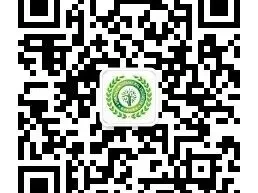综评A类 | 东南大学综评研报