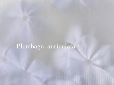 壁纸|极简清冷感简约锁屏全屏壁纸