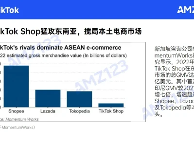 91页报告｜我读懂了2023跨境电商行业