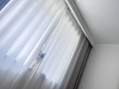 露一小脸