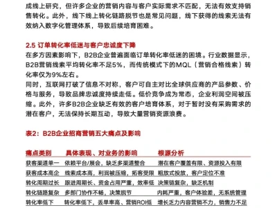 行业报告-中国民营B2B企业营销洞察报告