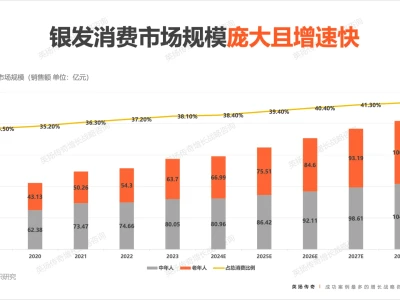 2025年🌟银发族市场洞察报告