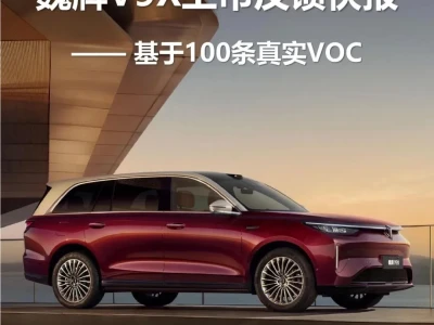 【研报-5423】汽车行业:魏牌V9X上市反馈快报—基于100条真实VOC
