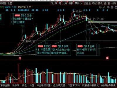 平潭发展(000592)2026 深度研报:封关 + 碳汇 + 新能源三重爆发,区域唯一平台迎业绩拐点