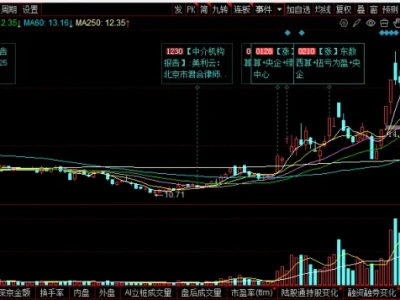 美利云(000815)2026 年 3 月研报:东数西算 + 算电协同龙头,扭亏反转,算力妖股