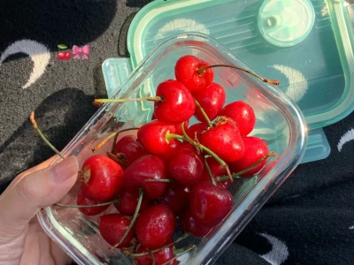 主副业月3w：体制内合规搞钱多去看新闻