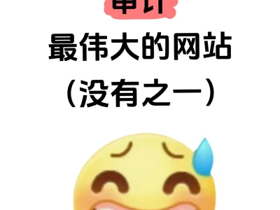 我愿称之为审计蕞伟大的网站！！