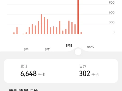 减脂记录