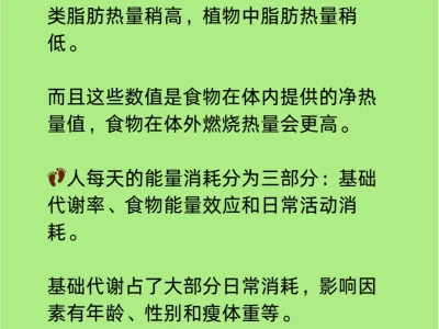 🔥搞懂卡路里，健康不迷路！