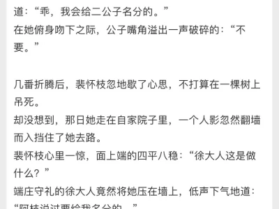女主不追后高岭之花卑微求名分