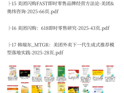 2025年美团市场分析报告（17份）