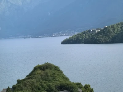 潮流已经逆转,高盛再度看多