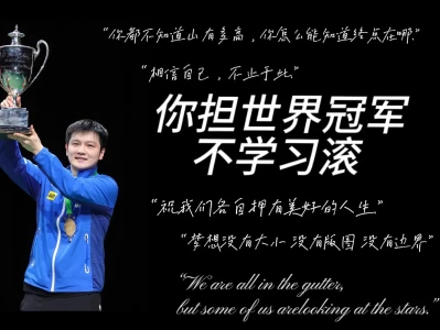 樊振东平板壁纸🤩