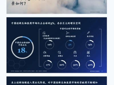 麦肯锡138套真实咨询项目Case