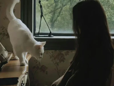 Wechat|可爱宠物女生头像