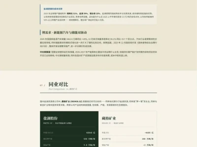 盐湖股份000792深度研报