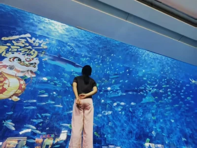 迷人背影