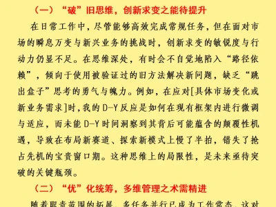 以“复盘”促“深耕” 项目工作总结