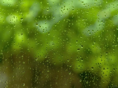 iPad壁纸｜🌧总怪小雨