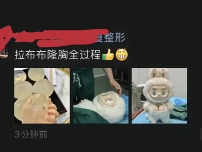 「Labubu丰胸日记」