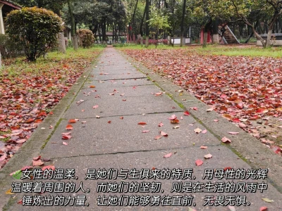 女性力量,一半温柔如水,一半坚韧如钢
