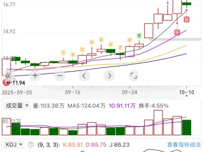 主升刚开始，耐心持有