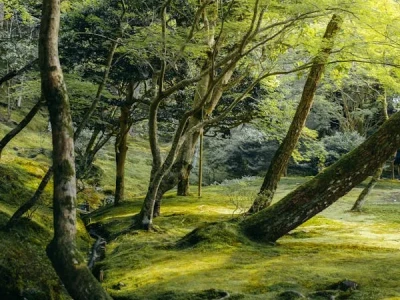 今日壁纸分享-Today's wallpaper sharing