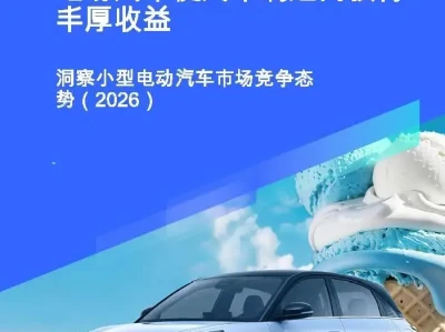【研报-5002】小型电动汽车市场竞争力洞察(2026)